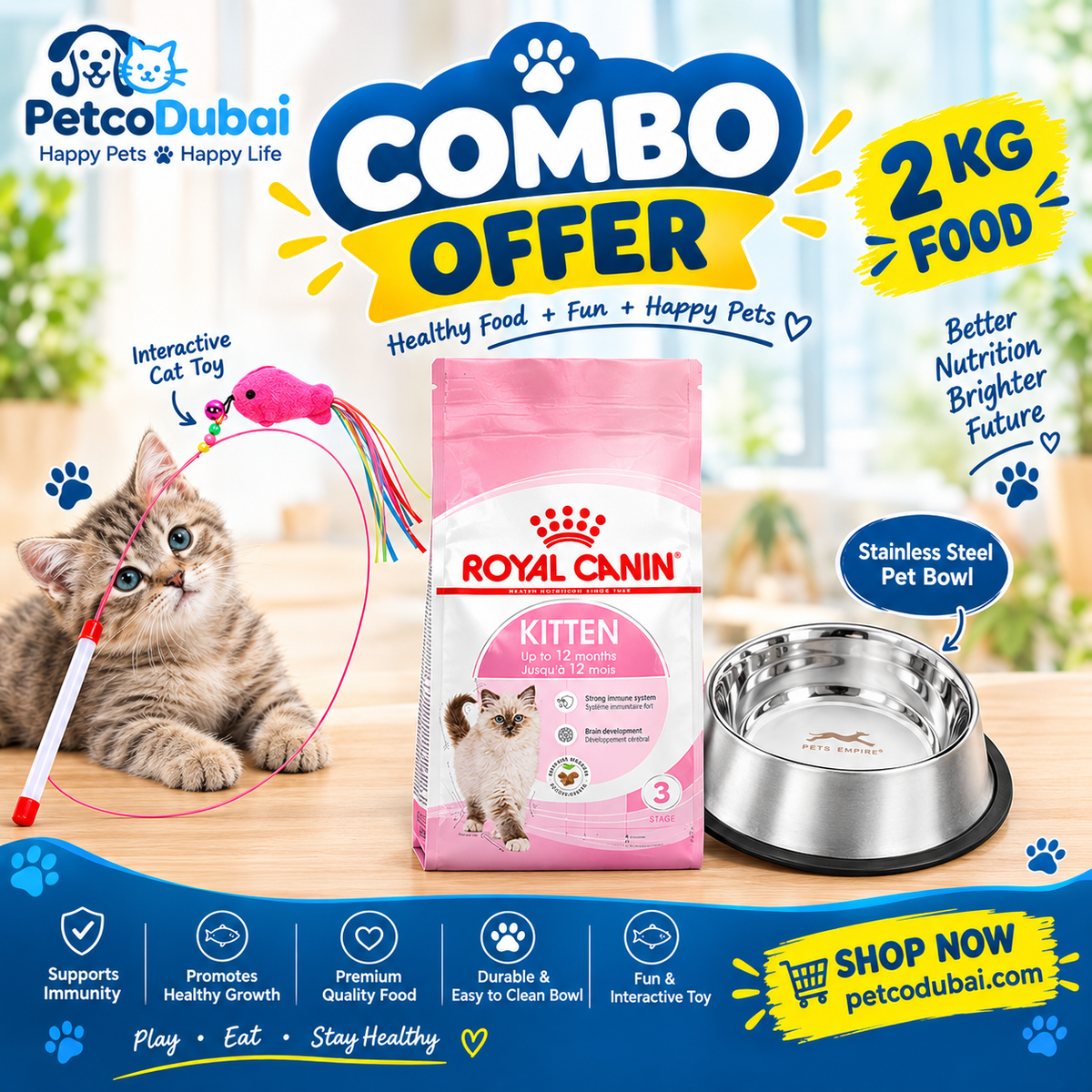 Royal canin kitten 2 kg, feeding bowl and cat stick toy