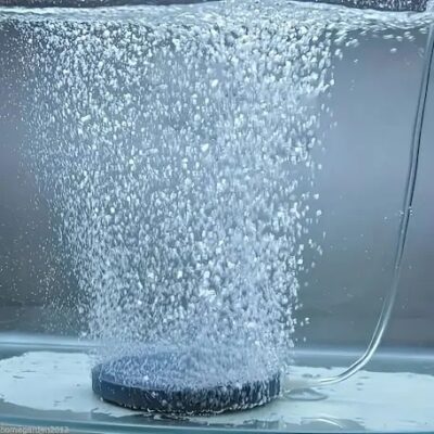 Air disc