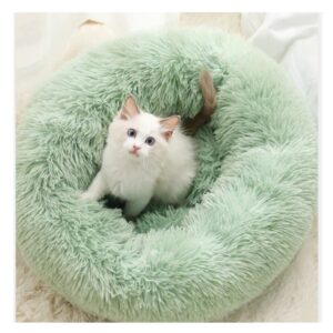 CAT BED