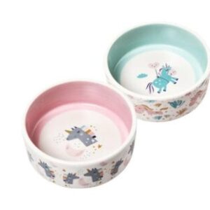 BEST CERAMIC FEEDING BOWL FOR CAT