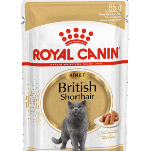 ROYAL CANI BRITISH SHORT HAIR ADULT WET FOOD