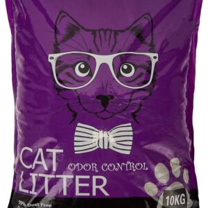 BEST CAT LITTER IN DUBAI