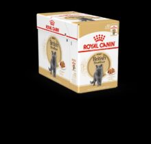 BRITISH SHORT HAIR ADULT WET FOOD