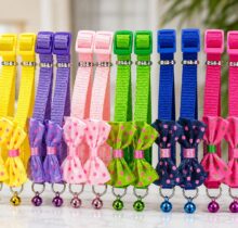 BEST CAT COLLAR NEARME