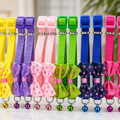 BEST CAT COLLAR NEARME