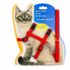 CAT HARNESS WITH LEASH