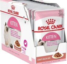ROYAL CANIN KITTEN GRAVY WET FOOD
