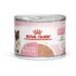 ROYAL CANIN MOTHER & BABY WET FOOD