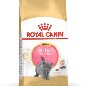 ROYAL CANIN BRITISH SHORT HAIR KITTEN DRY FOOD