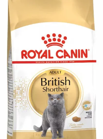 BRITISH SHORT HAIR ADULT DRY FOOD