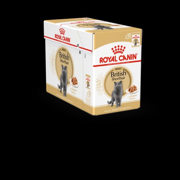 BRITISH SHORT HAIR ADULT WET FOOD