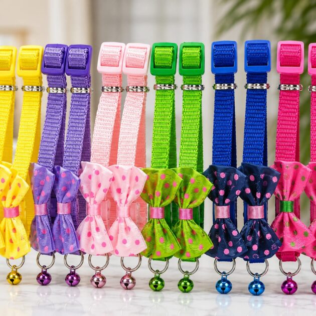 BEST CAT COLLAR NEARME
