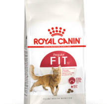 ROYAL CANIN FIT 32 CAT DRT FOOD