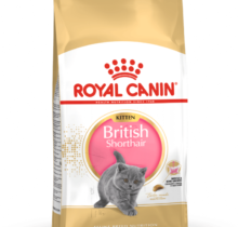 ROYAL CANIN BRITISH SHORT HAIR KITTEN DRY FOOD