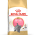 ROYAL CANIN BRITISH SHORT HAIR KITTEN DRY FOOD