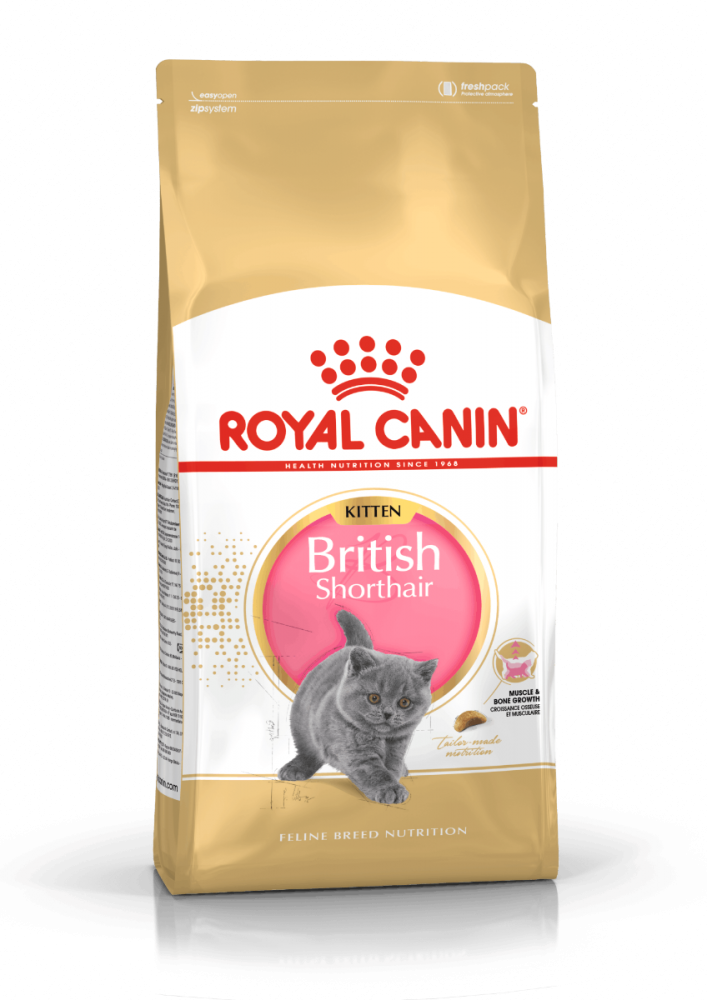 ROYAL CANIN BRITISH SHORT HAIR KITTEN DRY FOOD