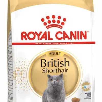 BRITISH SHORT HAIR ADULT DRY FOOD