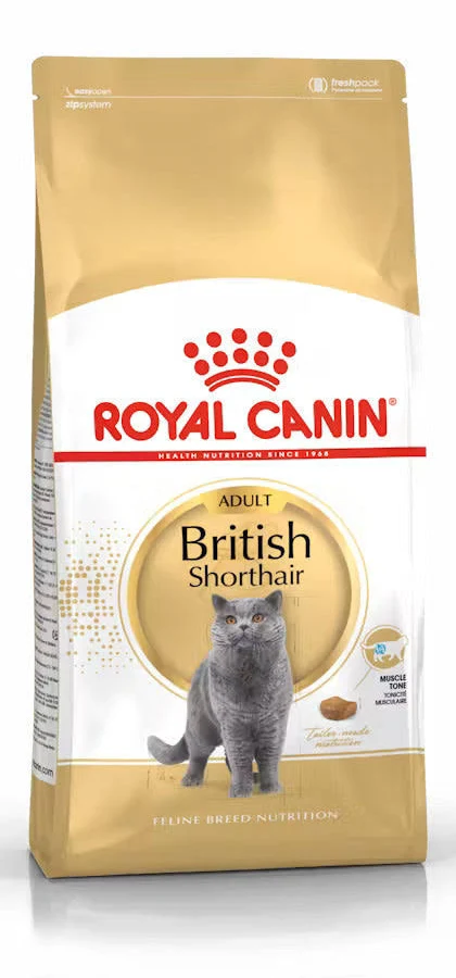 BRITISH SHORT HAIR ADULT DRY FOOD